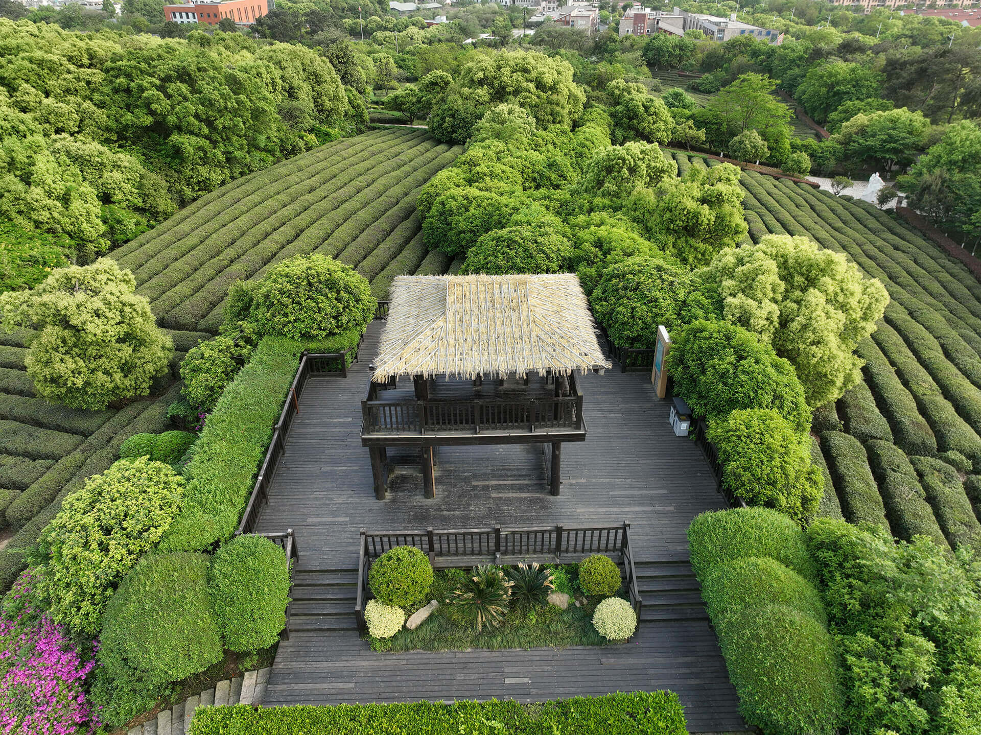 DJI_20230422164433_0042_V.JPG