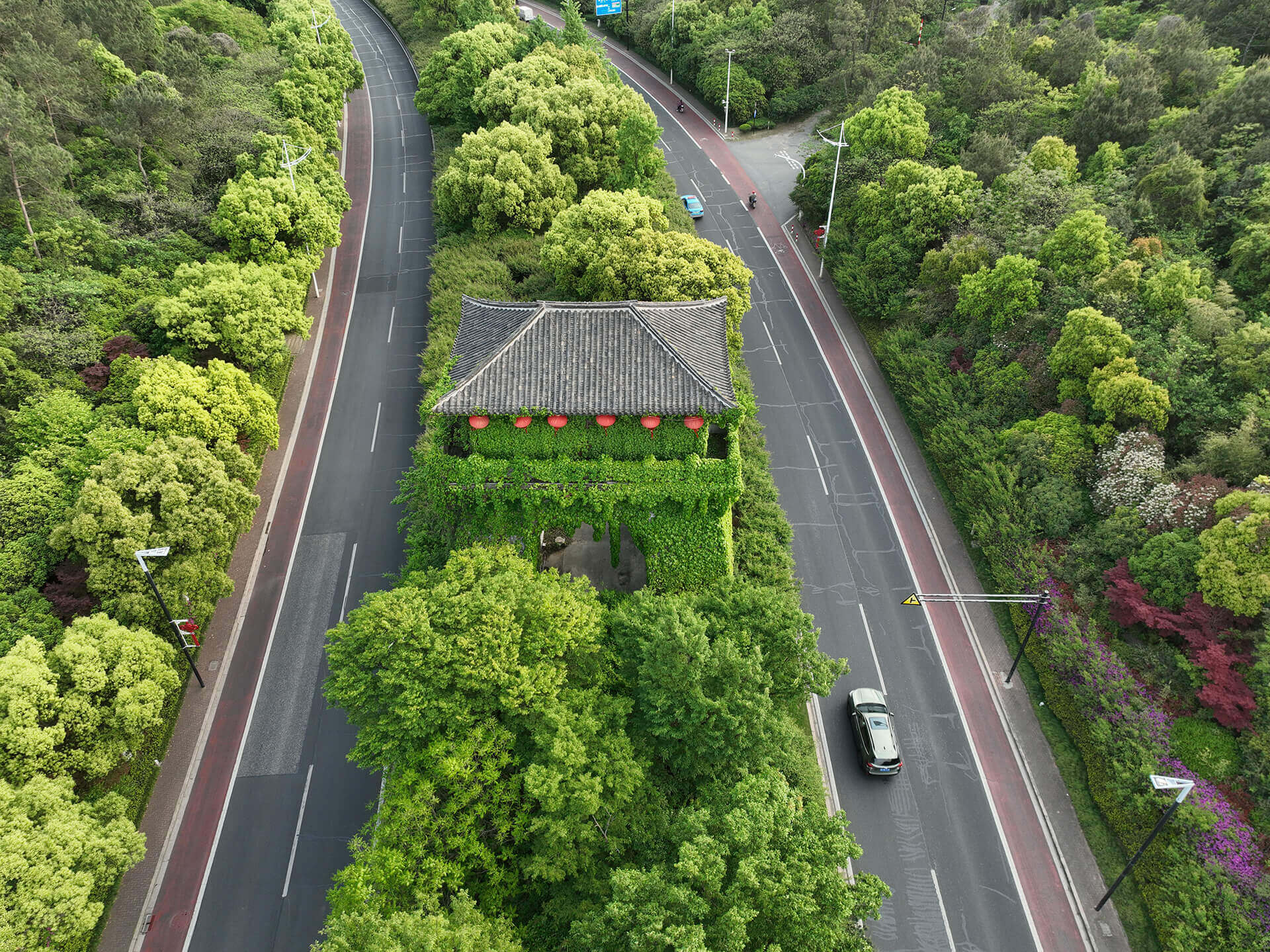 DJI_20230422164349_0038_V.JPG